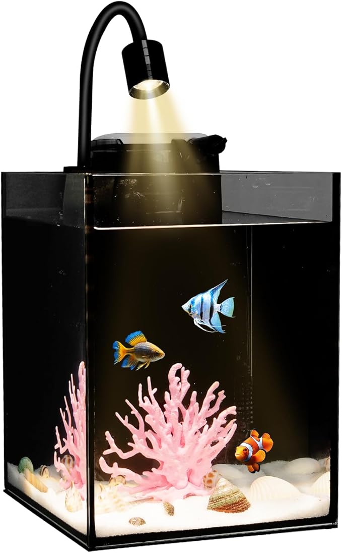 Desktop Aquarium Mini Tank Kit, 1.2 Gallon Rimless Cube with Filter, LED Spotlight, Black Background, Glass Construction, Pipette for Betta Fish, Guppies, Tetras