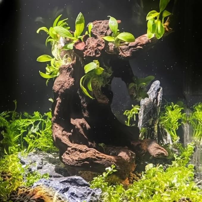 emours Driftwood Branches Reptiles Aquarium Decoration Assorted Size,(6-10 inch in Length),4 Pieces