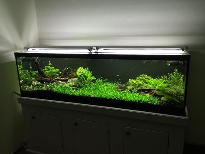 Finnex Planted+ 2.0 Aquarium LED Light, 660nm Plant Light, Moonlights