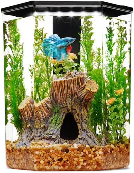 imagitarium by Petco Plastic Hexagon Betta Aquarium 2.5 Gallon