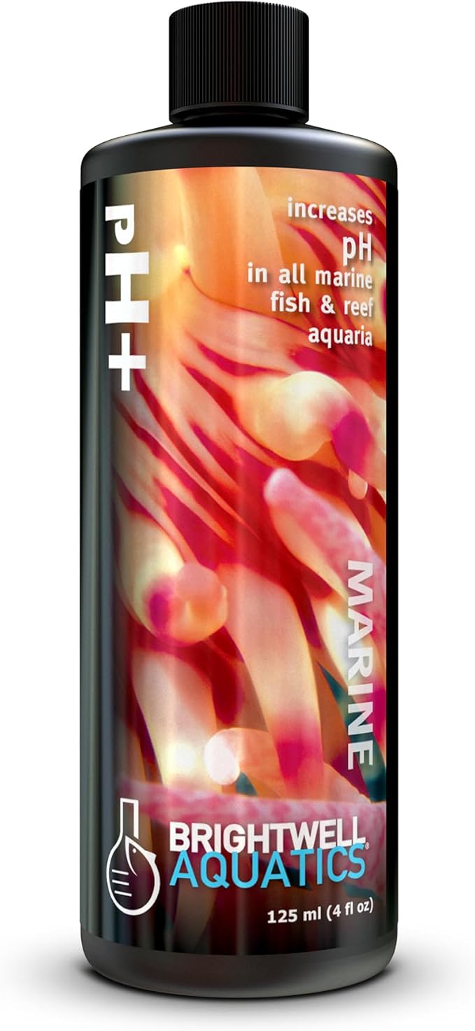 Brightwell Aquatics pH+ Alkalinity and pH Booster for Marine & Reef Aquariums Increases pH and KH Stability for Coral Growth and Enhances Carbonate Levels, 125 ml