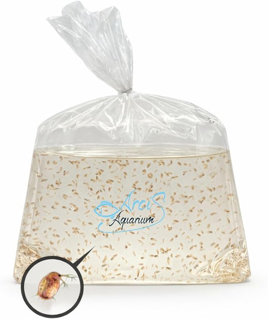 500+ Live Daphnia Magna | Premium Living Culture Feeder for Freshwater Fish, Fry, Shrimp, Axolotls & Aquatic Pets – Planktonic Crustacean, Water Fleas, Aquatic Live Food