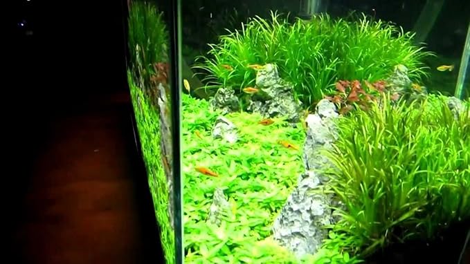 Finnex Planted+ 2.0 Aquarium LED Light, 660nm Plant Light, Moonlights