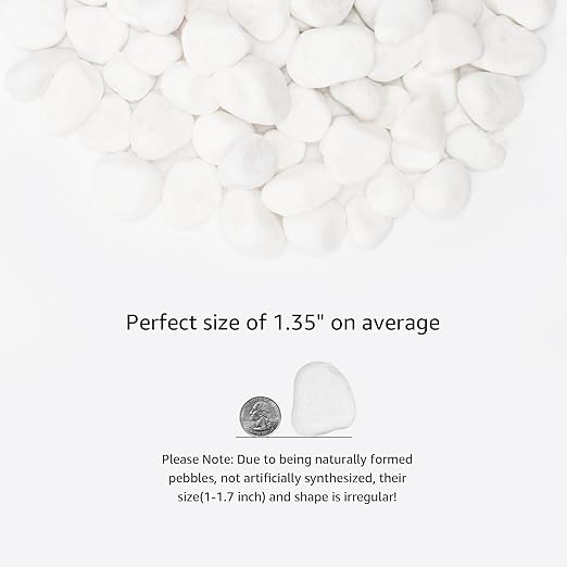 White Natural River Rocks, 1-1.5 Inch Decorative Stones for Plants, Garden, and Landscaping – 10LB, Ideal for Fish Tanks, Vases, Crafting, Home Decor, and Outdoor Landscaping