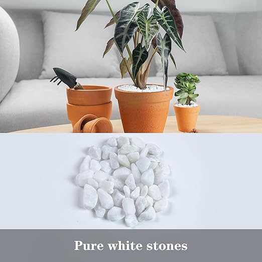5lb Polished Aquarium Silica Gravel, Decorative Pebbles Substrate for Fish Tank, Vases, All Purpose Silica Gravel for Aquarium, Fire Pits, and Landscaping, Snow White(0.16-0.24”)