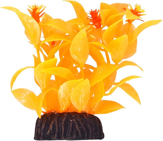 Underwater Treasures Ludwigia - Orange - 3"