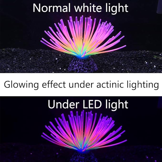 COLORLIFE Glow Rainbow Sea Urchin Aquarium Decor - Realistic Silicone Ornament with Weighted Base for Freshwater & Saltwater Fish Tanks