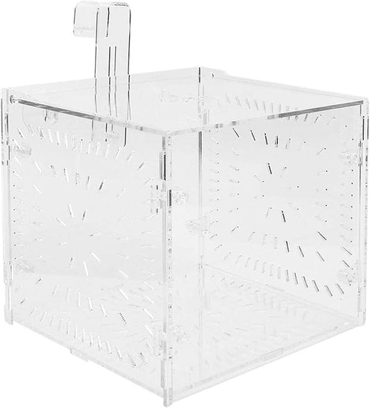 Aquarium Breeder Box for Fish Tank, Fish Breeding Box Tank Hatchery Incubator Aquarium Isolation Box for Seedlings Incubation(S)