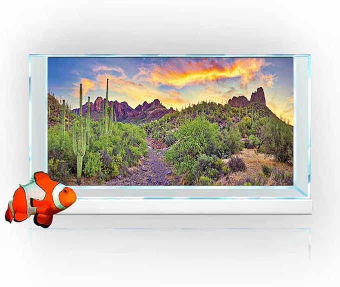 Reptile Habitat Background Rock Blue Sky Oasis Cactus Sunset Desert Terrarium Background 36X18IN with 8 EVA Double-Sided Tape