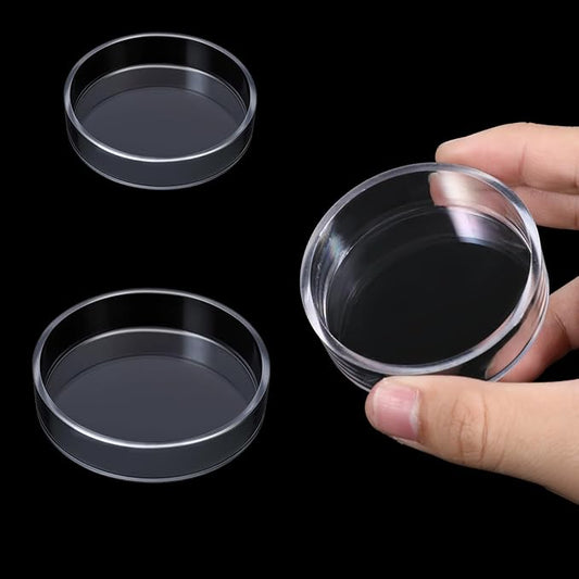 2 Pcs Shrimp Feeding Dish, Aquarium Feeding Dish, Fish Tank Feeder Dishes, Clear Aquarium Shrimp Feeders Bowl Freshwater Tray Feeder, 60mm/80mm