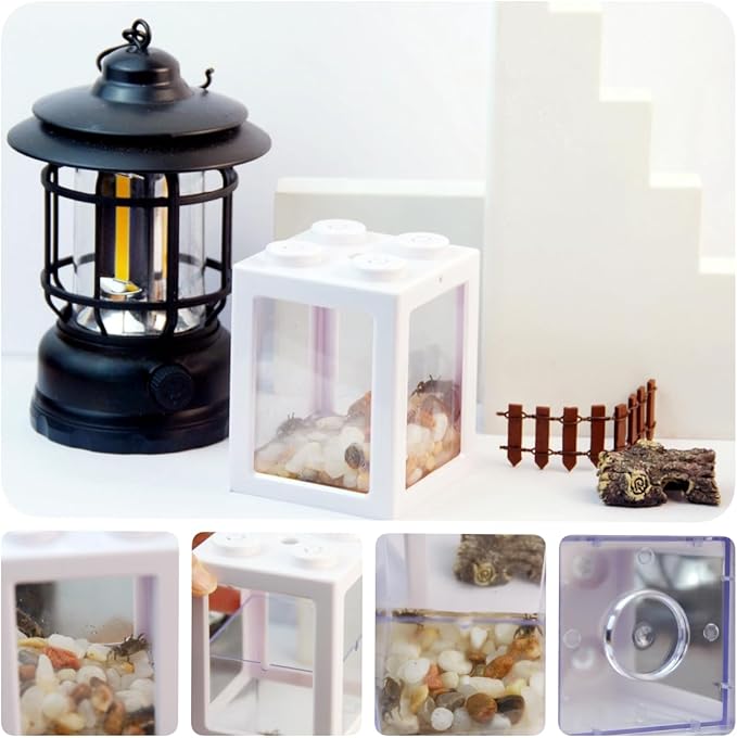 Mini Sea Monkey Tank, Stackable Aquariums for Fairy Shrimp Eggs Moss Balls, 0.25 Gallon Temporary Betta Fish Tank, Ant Feeding Case, Small Reptile Tank