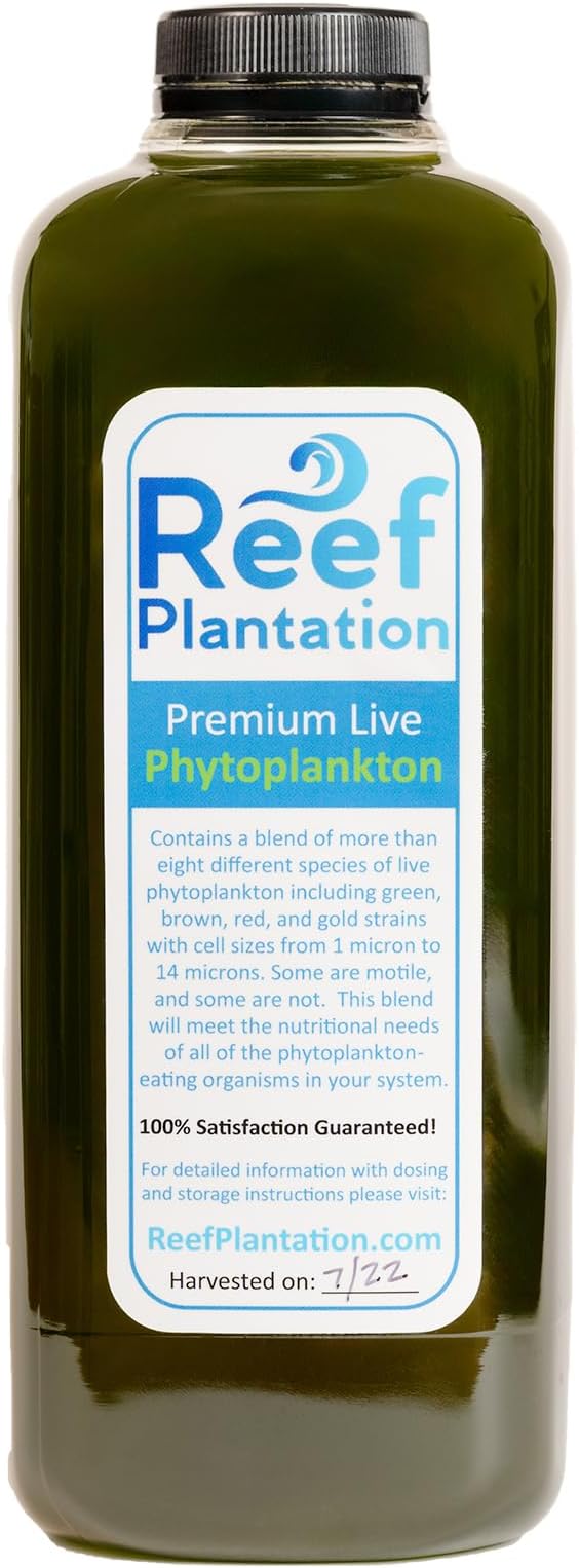 32oz (One Quart) Premium Live Phytoplankton Blend - Food for Corals & Copepods in Reef/Saltwater Aquariums - Over Eight Different Strains of Live Phytoplankton
