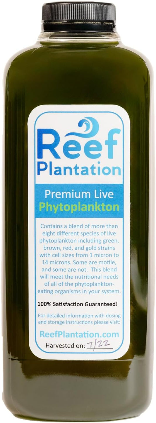 32oz (One Quart) Premium Live Phytoplankton Blend - Food for Corals & Copepods in Reef/Saltwater Aquariums - Over Eight Different Strains of Live Phytoplankton