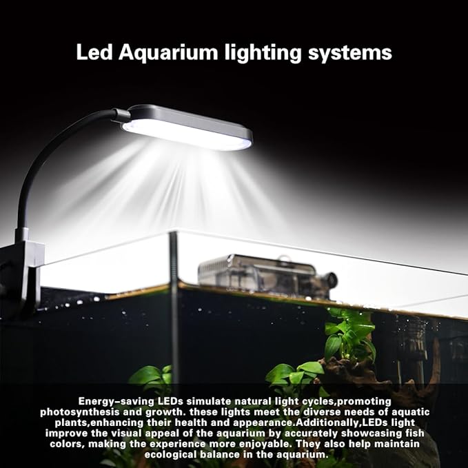 Glass Fish Tank Kit,2.8 Gallon Fish Tank,Small Aquarium, Ultra-Clear Nano Aquarium,Betta Fish Tank,Small Fish Tank,Aquarium Starter kit,Desktop Fish Tank,with Light and Filter
