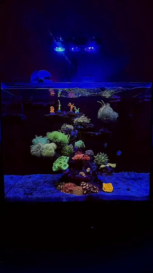 35W Full Spectrum Reef LED Light for SPS/LPS Corals – Dimmable Aquarium Light with Sunrise, Sunset & Moonlight Modes – Perfect for Saltwater & Nano Reef Tanks (10-24 Inch, up to 40 Gallons)
