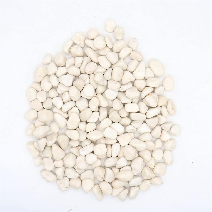 White Rocks for Plants. White Decorative Polished Pebbles. 1 to 2 Inch – 10lbs for Plants, Garden, Succulents, pots, Plants (MD (1 to 2 Inch), White - Lightly Polished, 10)