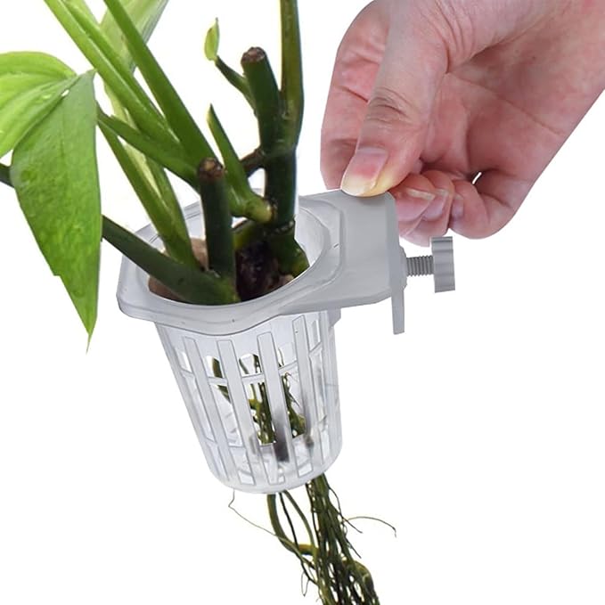 Generic Translucent Aquarium Plant Holder | 2PCS Aquatic Plant Holder with Holes | Aquaponic Plant Cultivation Holder | Pet Supplies Aquatic Plant Pots for Fish Tank