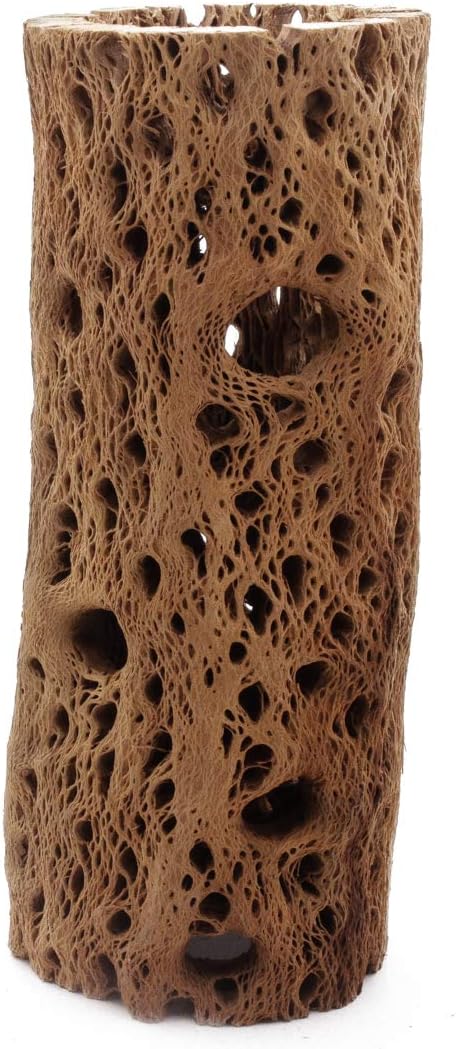 3 to 48 Inch All Natural Teddy Bear Cholla Wood Extra Hollow Large Untreated Organic Aquarium Driftwood Decoration Chew Toy Shrimp Crab Multi-Quantity