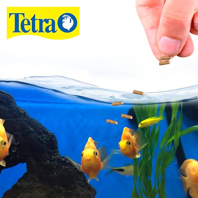 Tetra TetraCichlid Floating Cichlid Sticks 11.3 Ounces, Pond Fish Food, Nutritionally Balanced (Pack of 2)