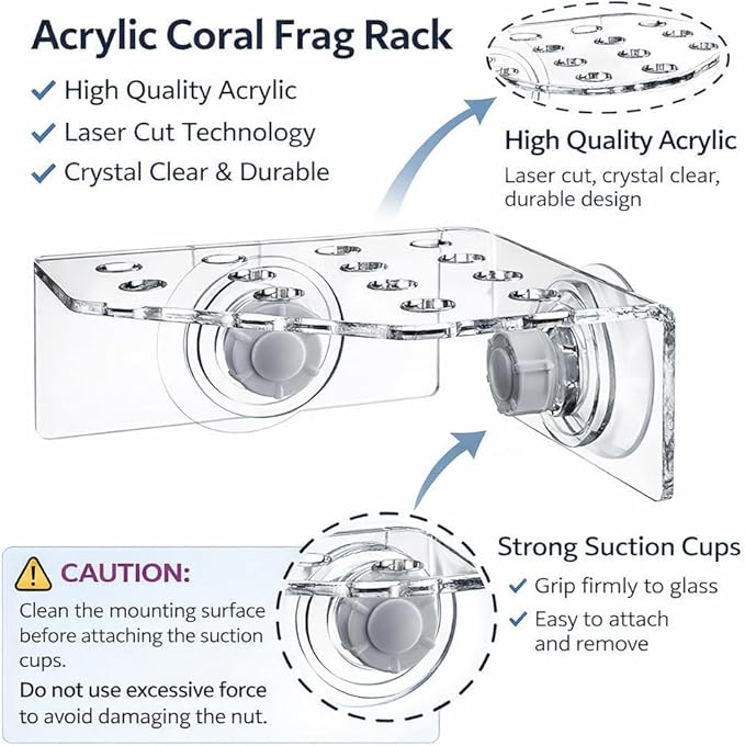 kcrygogo 13 Plug Holes Coral Frag Rack Clear Acrylic Holder Aquarium Fish Tank Button Coral Reef Broken Frame Enhanced Suction Cup (2 Pack)