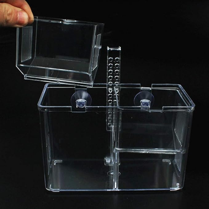 Fish Breeding Box Acrylic Aquarium Fish Box with Hook Aquarium Acclimation Hatchery Incubator for Shrimp Clownfish Guppy