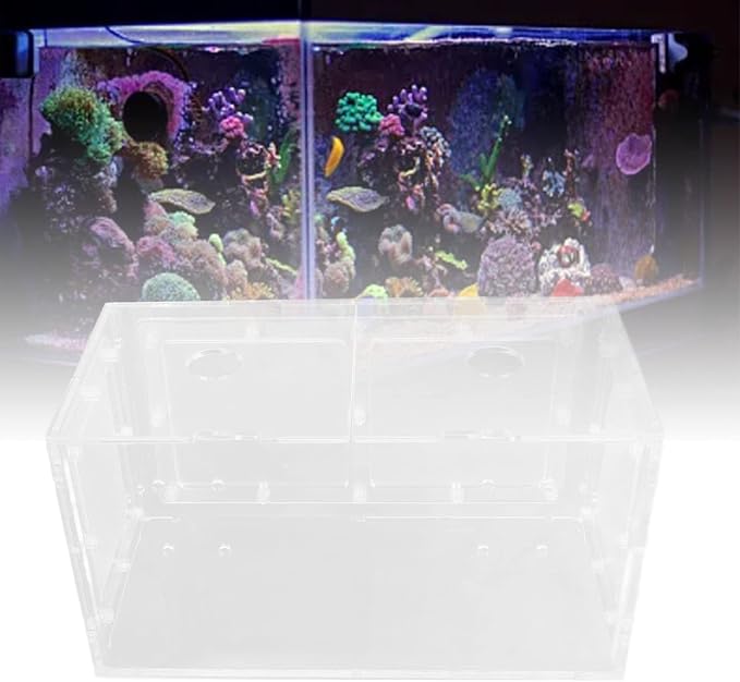 Fish Hatchery, Impact Hook Length Mesh Side Fish Breeding Box Transparent for Aquarium Small Fish (20 * 10 * 11CM)