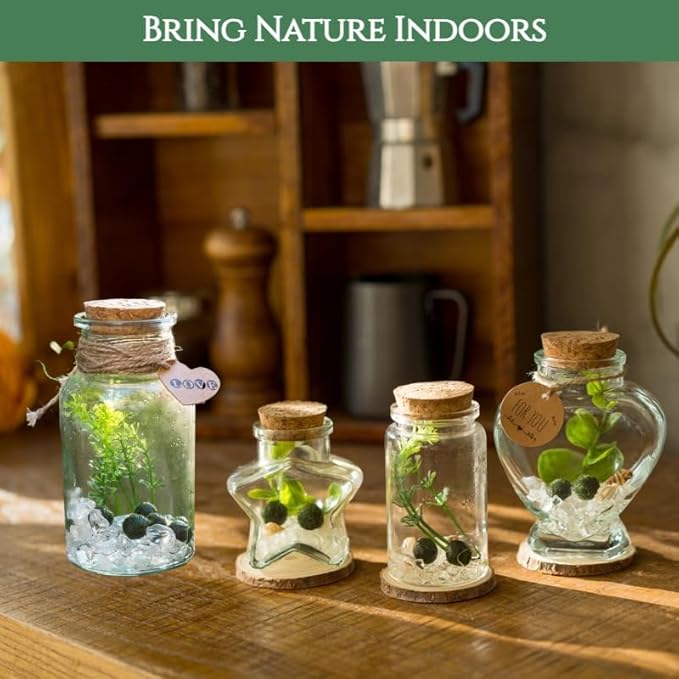 Moss Balls Glass Terrarium Kit,7 Pcs Lucky Moss Balls Pets,White Crystal,Artificial Plants,Aquarium Decor DIY Starter with Moss for Adults and Kids, Green Decor