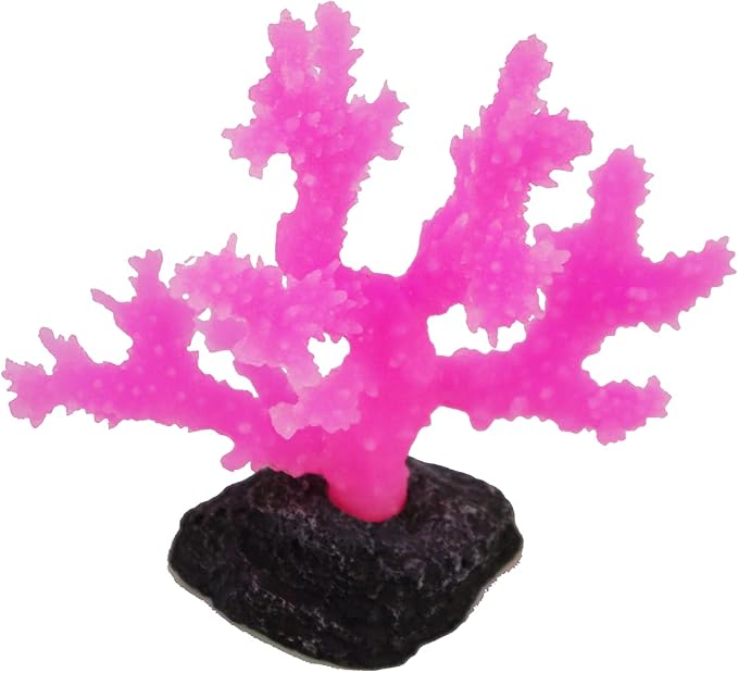 Sinularia Coral Small Pink