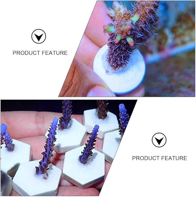 balacoo 30pcs Coral Breeding Bases Lightweight Stable Ceramic Reef Accessories for Coral Propagation for Hard and Aquariums Supports Growth Reproduction