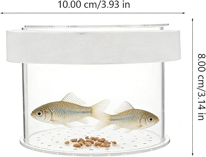 Ipetboom Fish Tank Separate Box Floating Aquarium Breeding Box with Lid 4.72X4.72X3.14In Acrylic Fish Isolation for Small Guppy Fry