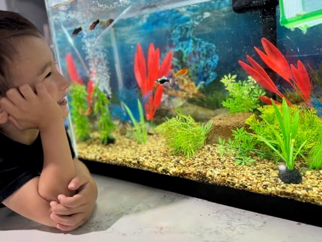 EcoBio-Block Natural Volcanic Rock for Aquarium Water Clarity & Balance — Low-Maintenance Alternative to Weekly Additives — for Freshwater Fish, Turtles, Shrimp & Frogs (Small, 8-16 gal)