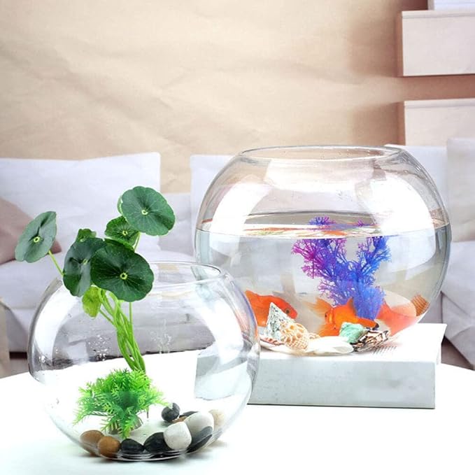 IMIKEYA Glass Bubble Bowl Bowl Glass Vase Clear Bubble Planter Terrarium Fish Bowl Wide Mouth Flower Vase Hydroponic Planter Candy Dish Fruit Jar for Wedding Home Decor 15cm