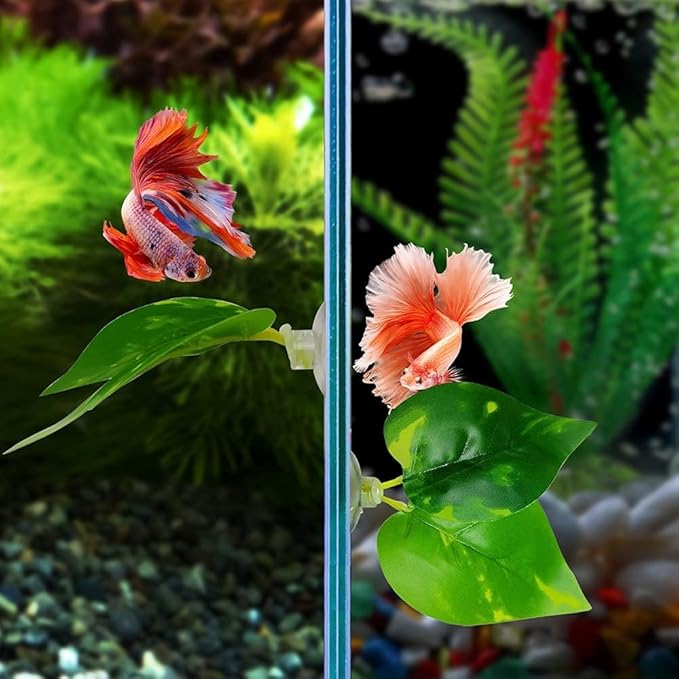 Betta Leaf Hammock Silicone Peace Plant Accessories, Beta Fish Leaf Rest Pad Bed, Beta Tank Decorations (1-Pack)