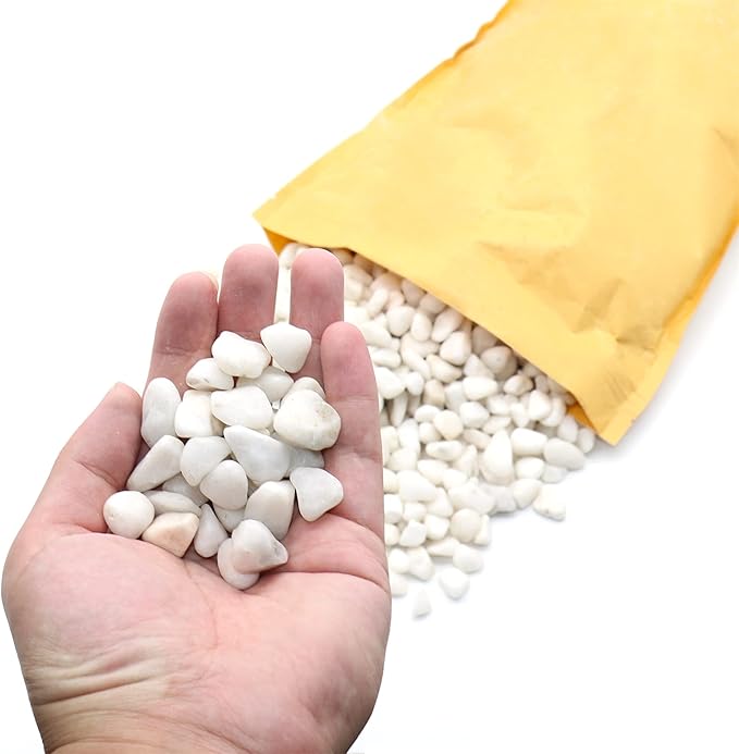 White Rocks for Plants. White Decorative Polished Pebbles. 3/8 Inch – 10lbs for Plants,Garden, Landscaping, Succulents, pots, Plants (XSM (0.375 Inch), White - Lightly Polished, 10)