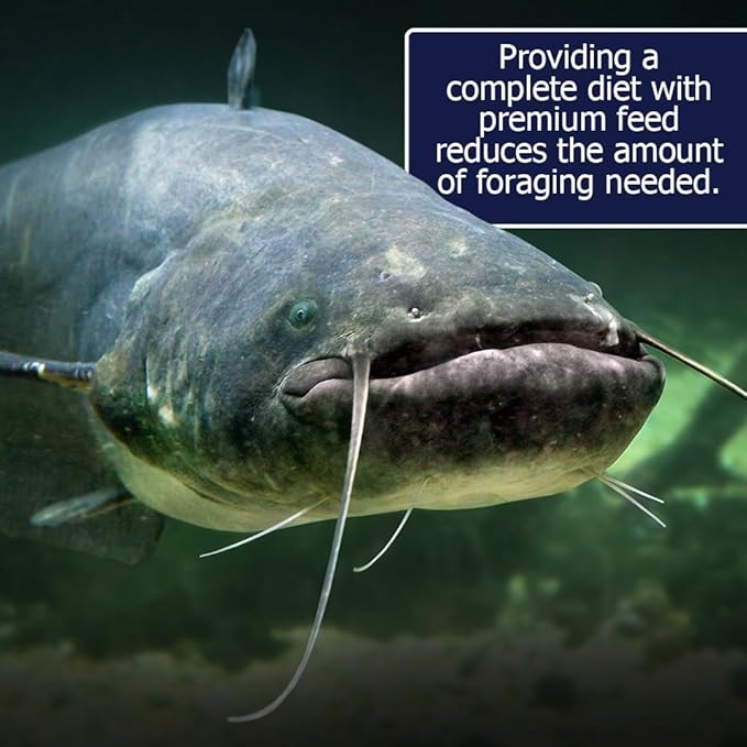 Natural Waterscapes BigCatch Catfish Food | Floating Fish Food 20 lb Bag