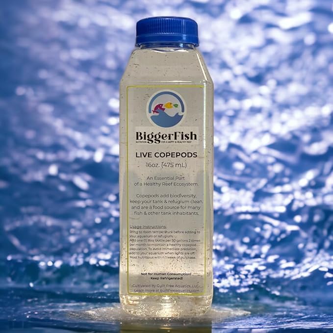 BiggerFish Live Copepods for Fish and Marine Invertebrates, 16oz, Provides Vital Biodiversity and Nutrition for a Healthy Saltwater Reef Aquarium Ecosystem