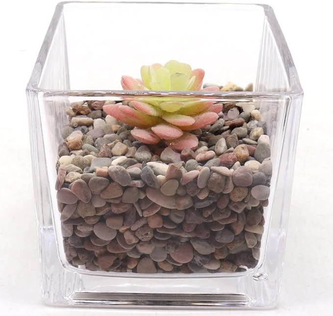 Rocks for Plants. Mixed Black/Earth Tones Color Pebbles. 1/5 Inch – 10 lbs for Garden, Crafting, Succulents, pots, Plants (Mini (0.2 Inch), Mixed Color - Black, 10)