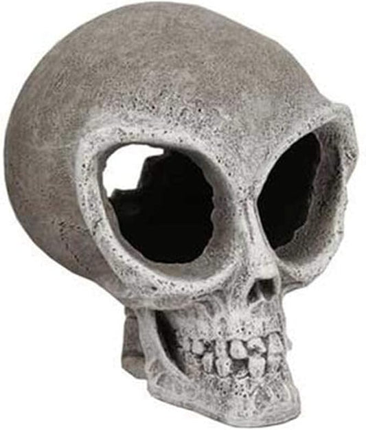 Exotic Environments Alien Skull, Small, 4-1/2-Inch by 5-1/2-Inch by 5-1/2-Inch