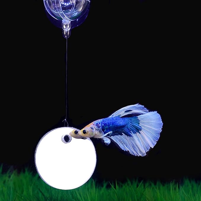 Thereisno Betta Training Mirror Fish for Tank Fish Antidepressant Work Out 5/6/7cm Special for Betta Fitness Mirror Training Mirror