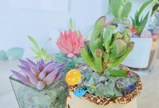 ZHIYUXI Crystal Fluorite Vase Filler, 0.22lbs, Polished Healing Chips for Decoration, Fish Tank Gravel, Succulent Plants, Home Decor