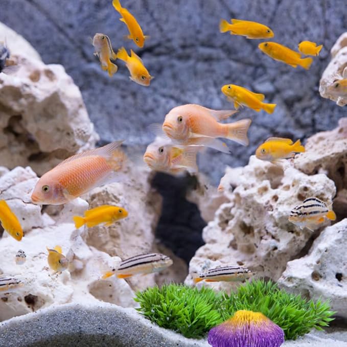 BESPORTBLE Simulation Coral Reef Aquarium Decoration Vibrant Violet Fish Tank Ornament Safe for Fresh Realistic Resin Craft Visual Appeal for Your Aquarium