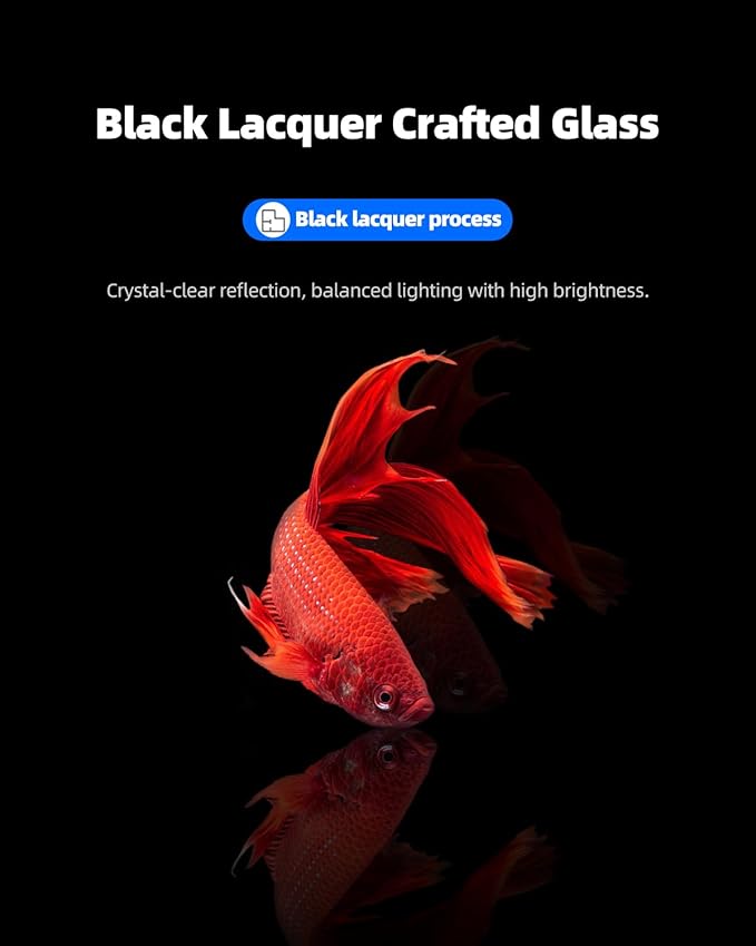 2.5 Gallon Clear Glass Fish Tank, Small Fish Tank Aquarium for Betta, Goldfish, Snail,Shrimp and Aquatic Planting
