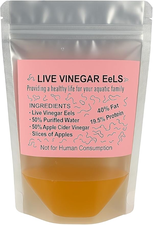 Live Vinegar Eels Culture (Turbatrix aceti) – First Food for Fish Fry – Betta & Guppy Fry Live Fish Food Starter Culture (5 oz)