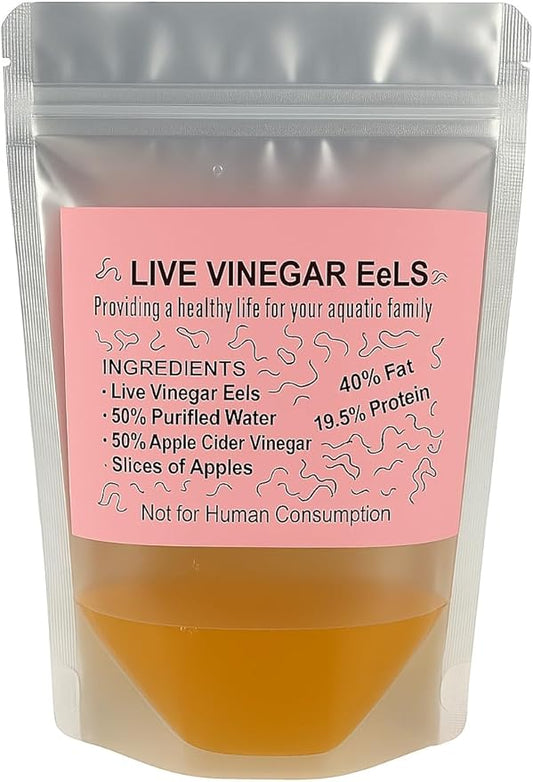Live Vinegar Eels Culture (Turbatrix aceti) – First Food for Fish Fry – Betta & Guppy Fry Live Fish Food Starter Culture (5 oz)