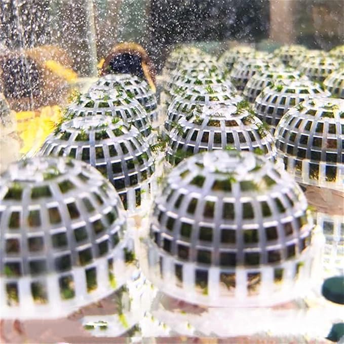4 Pack Aquarium Moss Ball Holder, Fish Tank Moss Ball Live Plants Shaping Filter, Exotic Decor Ornaments for Aquarium Shrimp Betta Fish Tank (4 Pack)