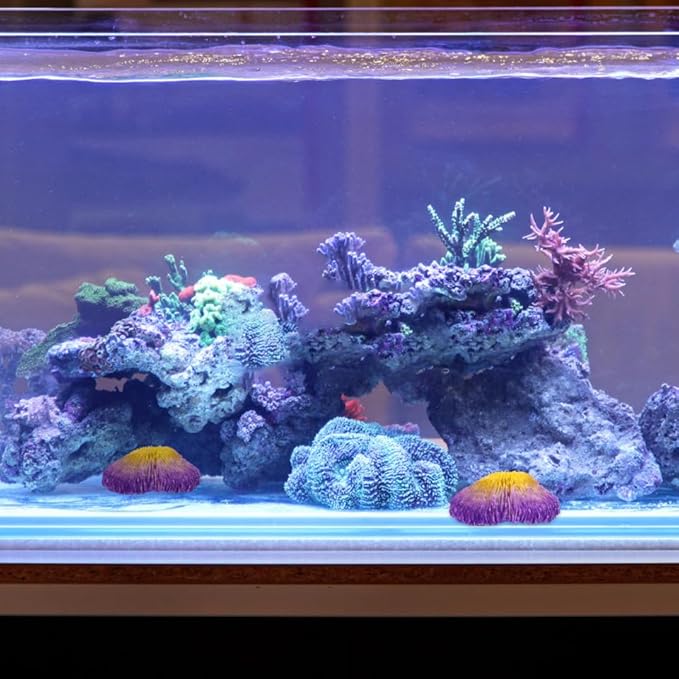 BESPORTBLE 2pcs Simulation Coral Reef Aquarium Ornament Realistic Resin Fish Tank Decoration for Freshwater Aquariums Vivid Colors Safe for Fish for Aquatic Environments