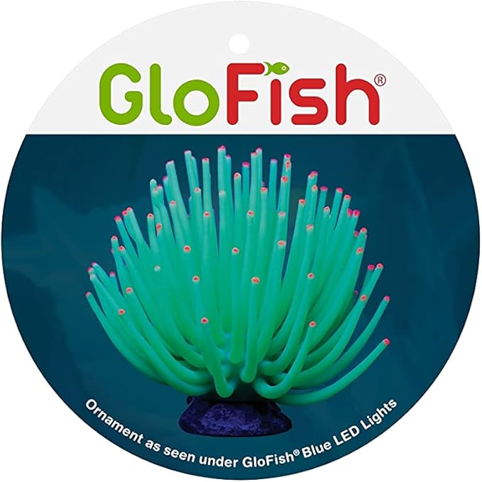GloFish Anemone Ornament, Detailed Aquarium Ornament, Large Green, Creates A Glowing Effect (Pack of 1)