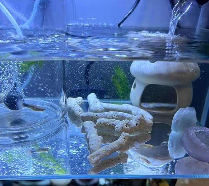 2 Packs Crushed Coral Filter for Aquarium,Fish Tank Crushed Coral for Freshwater Aquarium Ph Aquarium Bio Filter Media Bag Reusable Aquarium Filter