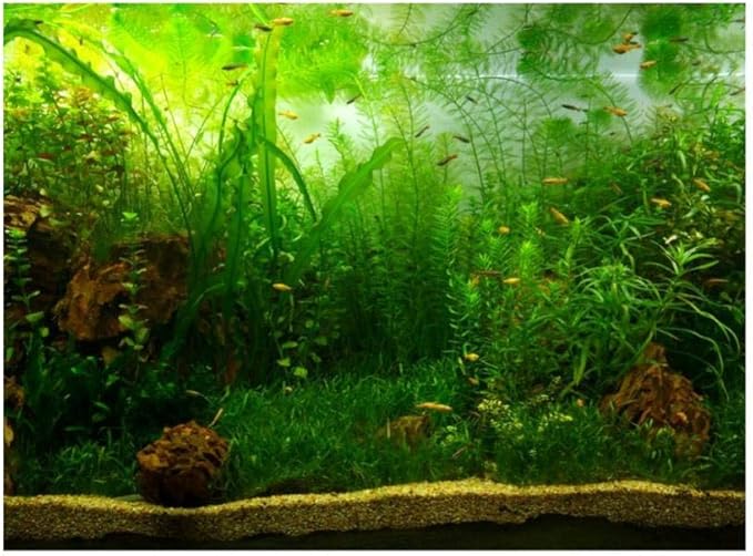Zerodis PVC Aquarium Background Poster,Water Grass PVC Adhesive Static Aquarium Wallpaper Background(122 * 46cm)