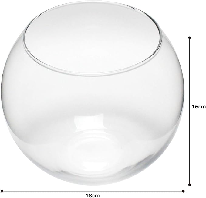 New Terrarium House Plants Interior Aquarium Fish Bowl Vase Bubble Ball L H 6.3 x Diameter 7.1 inches (16 cm) x Diameter 7.1 inches (18 cm)